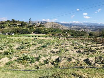 Venta 3 ha terreno plano agrícola cerca a Guayllabamba $30 m2