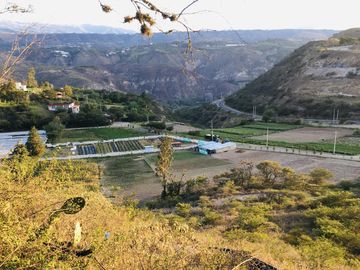 Venta 3 ha terreno plano agrícola cerca a Guayllabamba $30 m2