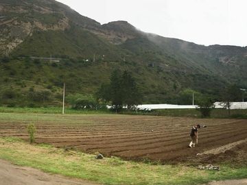 Venta 3 ha terreno plano agrícola cerca a Guayllabamba $30 m2