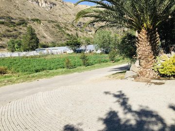 Venta 3 ha terreno plano agrícola cerca a Guayllabamba $30 m2