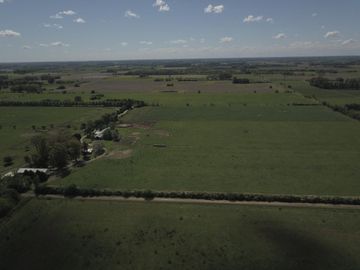 Chacra - General Rodriguez