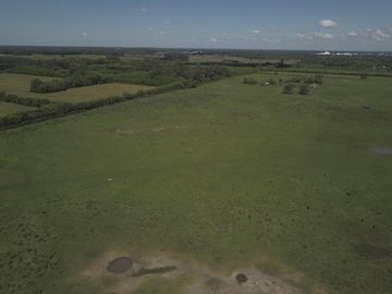 Chacra - General Rodriguez