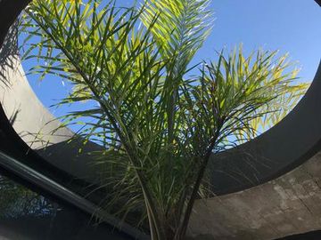 Casa en venta Los Talas
