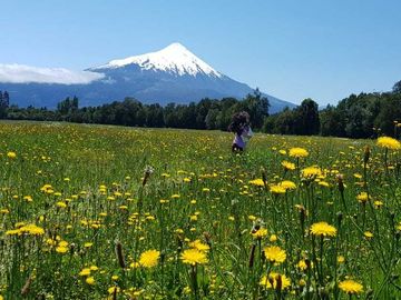Parcela en venta en PUERTO VARAS