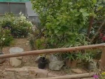 Casa en venta en LA LIGUA