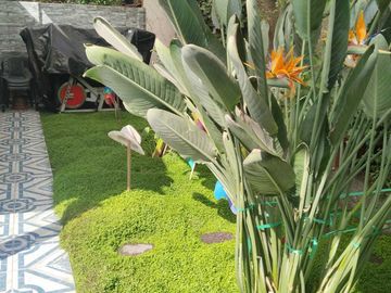Casa en venta en MAIPÚ