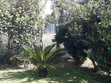 CASA EN VENTA Y ALQUILER DE TEMPORADA - SAN GABRIEL - MAROTO PROPIEDADES