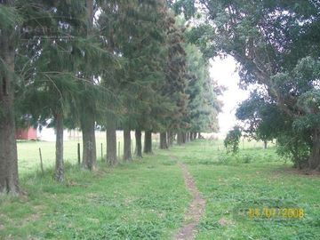 225 HA. VIEYTES