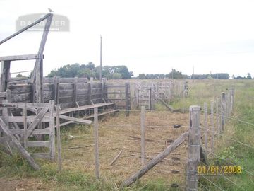 225 HA. VIEYTES