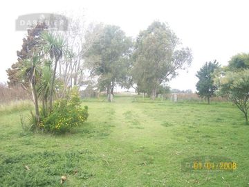 225 HA. VIEYTES