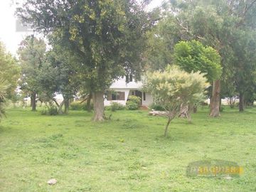 225 HA. VIEYTES