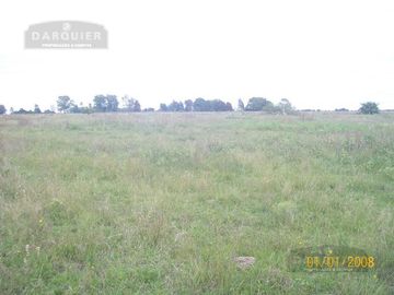 225 HA. VIEYTES