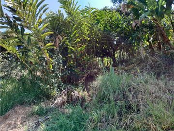 VENTA CASA FINCA VEREDA MESTIZAL SAN JERONIMO ANTIOQUIA