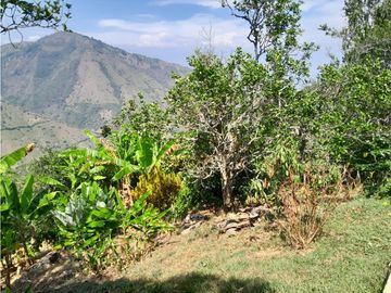 VENTA CASA FINCA VEREDA MESTIZAL SAN JERONIMO ANTIOQUIA