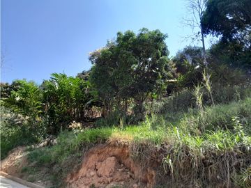 VENTA CASA FINCA VEREDA MESTIZAL SAN JERONIMO ANTIOQUIA