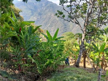 VENTA CASA FINCA VEREDA MESTIZAL SAN JERONIMO ANTIOQUIA