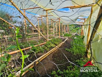 Finca con potencial turístico a 12 min de Filandia, Quindío