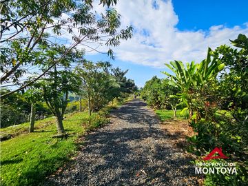 Finca con potencial turístico a 12 min de Filandia, Quindío