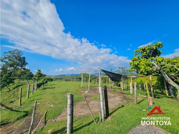Finca con potencial turístico a 12 min de Filandia, Quindío