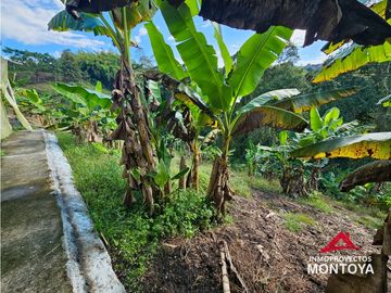 Finca con potencial turístico a 12 min de Filandia, Quindío