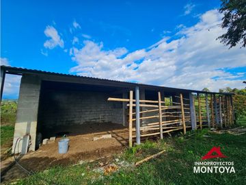 Finca con potencial turístico a 12 min de Filandia, Quindío