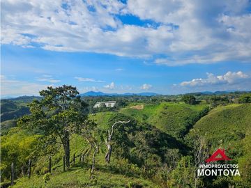 Finca con potencial turístico a 12 min de Filandia, Quindío