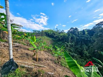 Finca con potencial turístico a 12 min de Filandia, Quindío