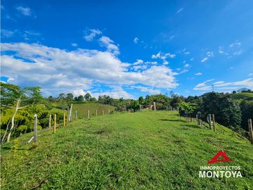 Finca con potencial turístico a 12 min de Filandia, Quindío