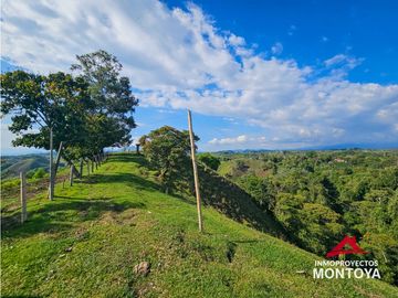 Finca con potencial turístico a 12 min de Filandia, Quindío