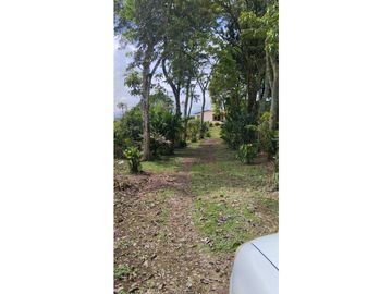 Venta Hotel Montenegro Quindio COD: 8015700