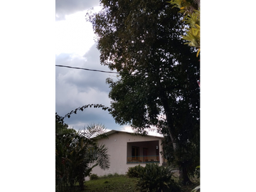 Venta Hotel Montenegro Quindio COD: 8015700