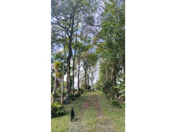 Venta Hotel Montenegro Quindio COD: 8015700