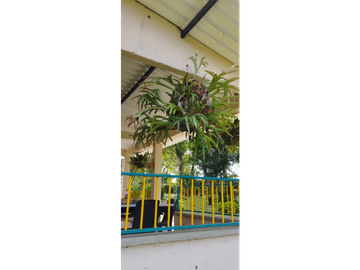 Venta Hotel Montenegro Quindio COD: 8015700