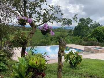Venta Hotel Montenegro Quindio COD: 8015700