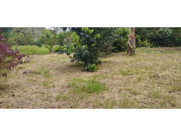 Venta Hotel Montenegro Quindio COD: 8015700