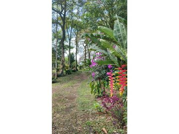 Venta Hotel Montenegro Quindio COD: 8015700