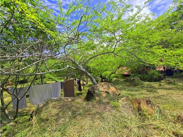 Vendo Casa Ojala Guane Barichara 2385 mts2