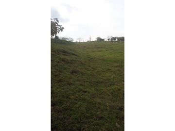 Venta de Finca en Pácora, Caldas | Finca en venta