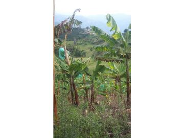 Venta de Finca en Pácora, Caldas | Finca en venta