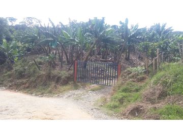 Venta de Finca en Pácora, Caldas | Finca en venta