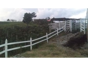 Venta de Finca en Pácora, Caldas | Finca en venta