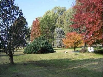 Excelente Campo en Ruta 25 Zona Polo - Mallmann Propiedades