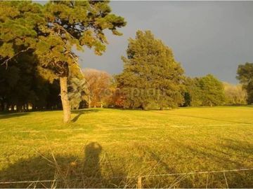 Excelente Campo en Ruta 25 Zona Polo - Mallmann Propiedades