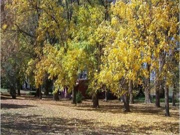 Excelente Campo en Ruta 25 Zona Polo - Mallmann Propiedades
