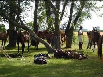 Excelente Campo en Ruta 25 Zona Polo - Mallmann Propiedades
