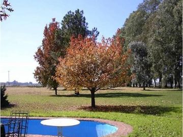 Excelente Campo en Ruta 25 Zona Polo - Mallmann Propiedades