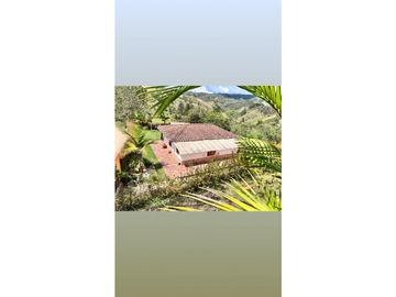 FINCA EN VENTA EN SAN VICENTE