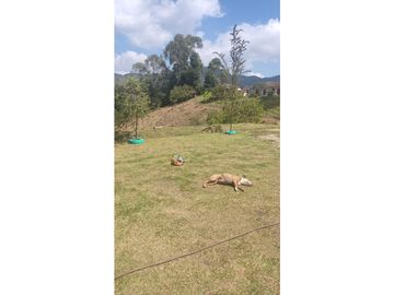 FINCA EN VENTA EN SAN VICENTE