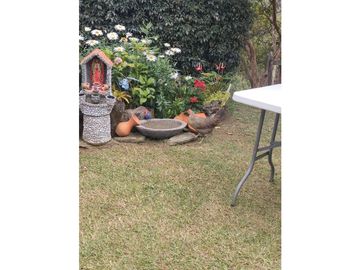 FINCA EN VENTA EN SAN VICENTE