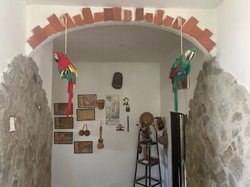 VENTA de CASAS en MUNICIPIO JUAN DE ACOSTA
